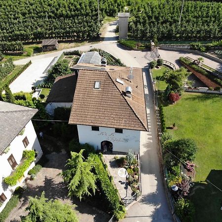 Al Trifoglio Bed and Breakfast Campodenno Eksteriør billede